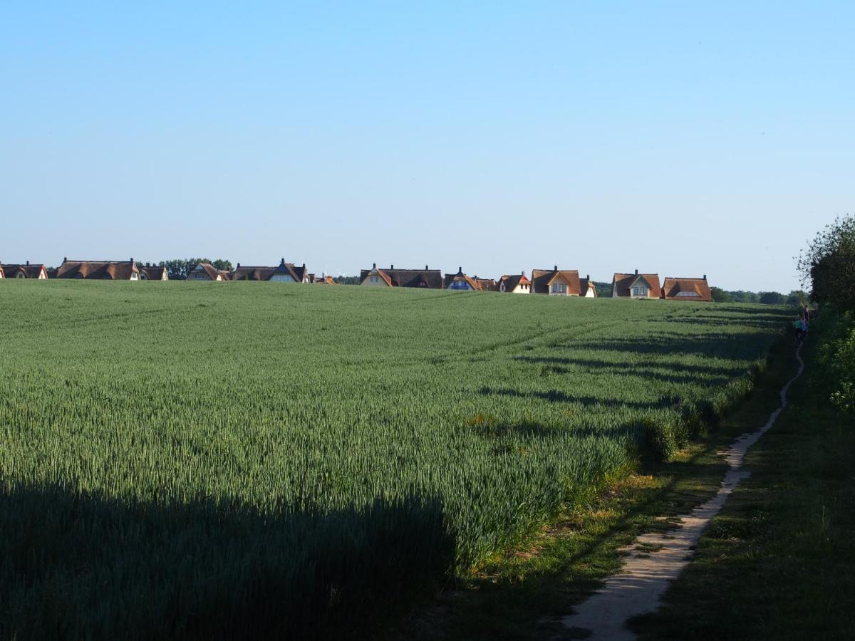 Emilias Hues, Reethaus In Der Bucht Von Wismar Zierow Exterior photo